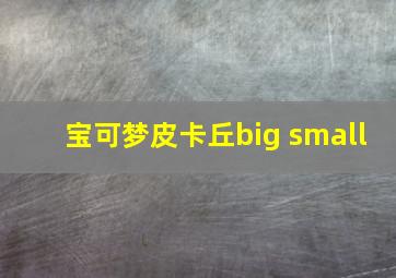 宝可梦皮卡丘big small